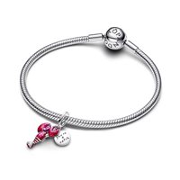 Charm Pandora in Argento Cubic Zirconia 793676C01 - 793676C01